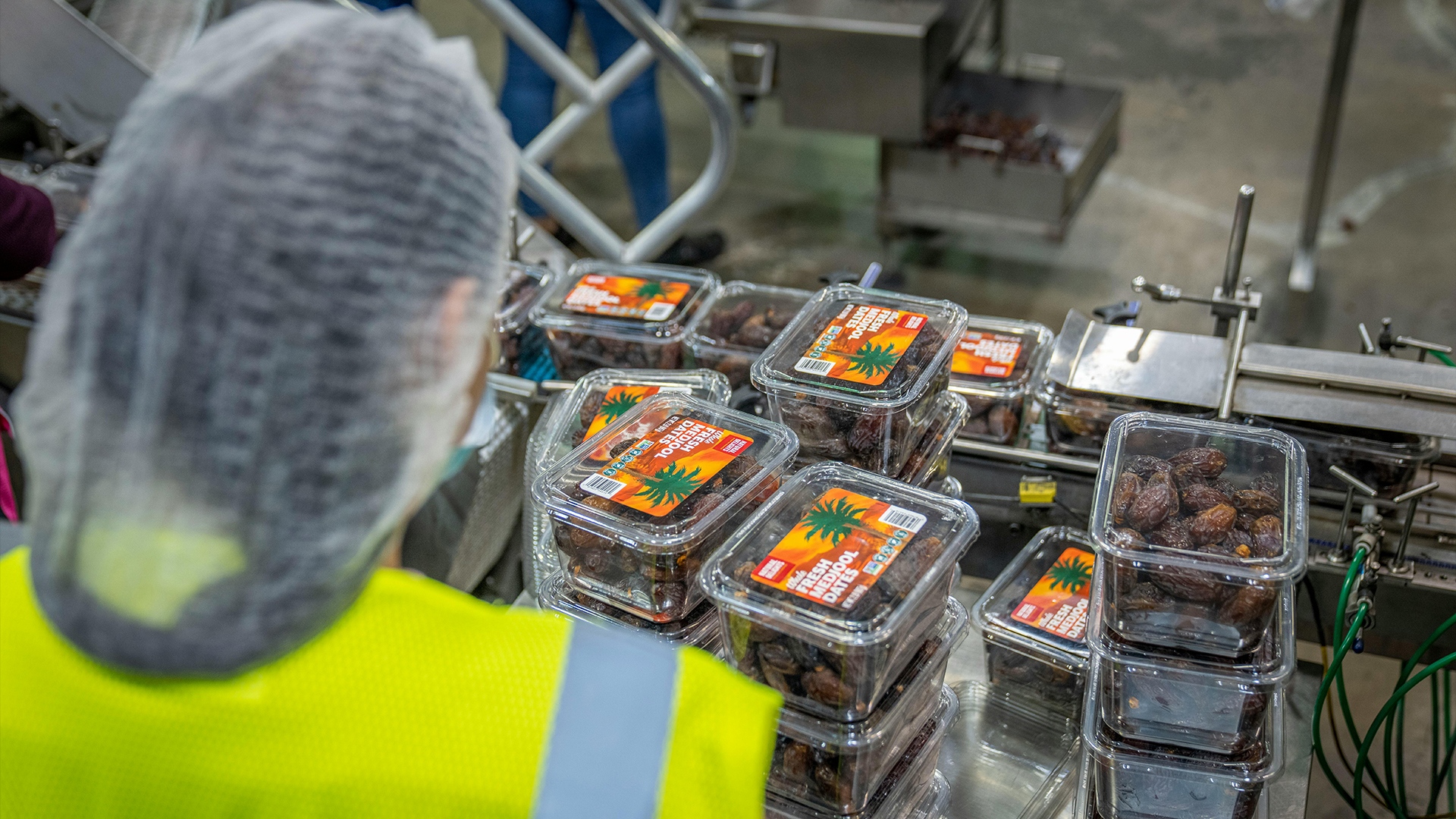 Flexible Chain Conveyor for Food Processing Lines