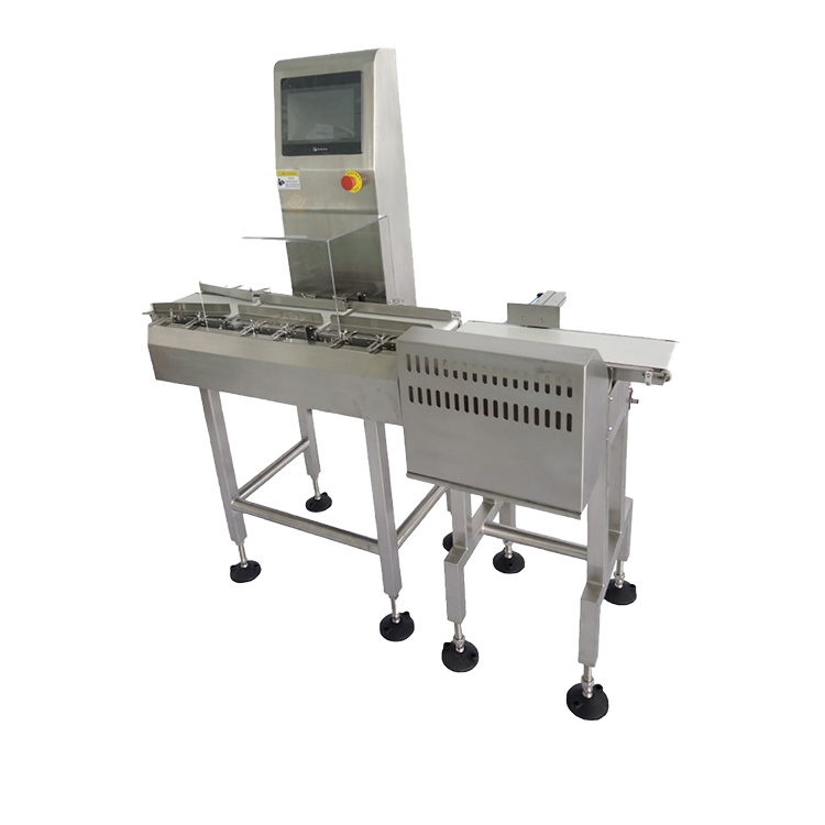 Flexible Chain Conveyor for Food Processing Lines