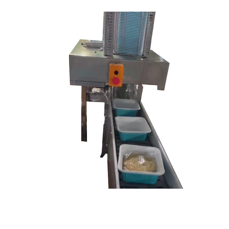 Flexible Chain Conveyor for Food Processing Lines