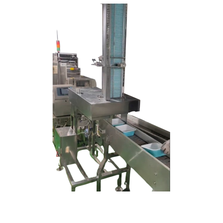 Automatic Bowl Feeding Machine