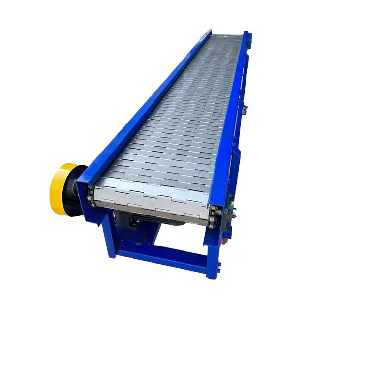 Flexible Chain Conveyor for Food Processing Lines