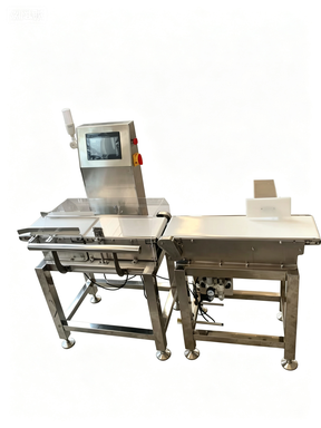 Dynamic Belt Scale: Accurate and Efficient Continuous Weighing Solution