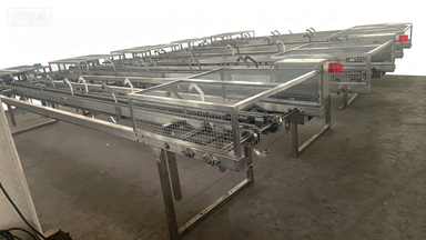 Automatic Carton Erecting Machine for Food Production Line