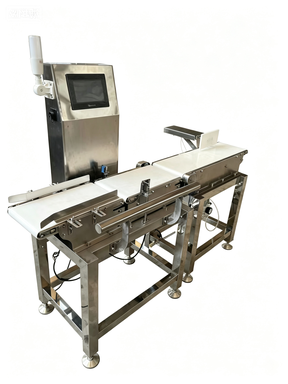 Dynamic Belt Scale: Accurate and Efficient Continuous Weighing Solution