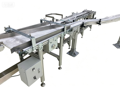 Flexible Chain Conveyor for Instant Noodle Production Line